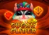 Sugar Glider Dice